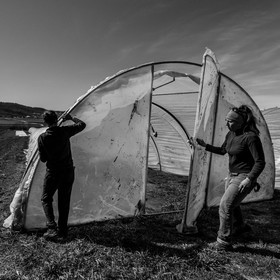 Montage de serres tunnel