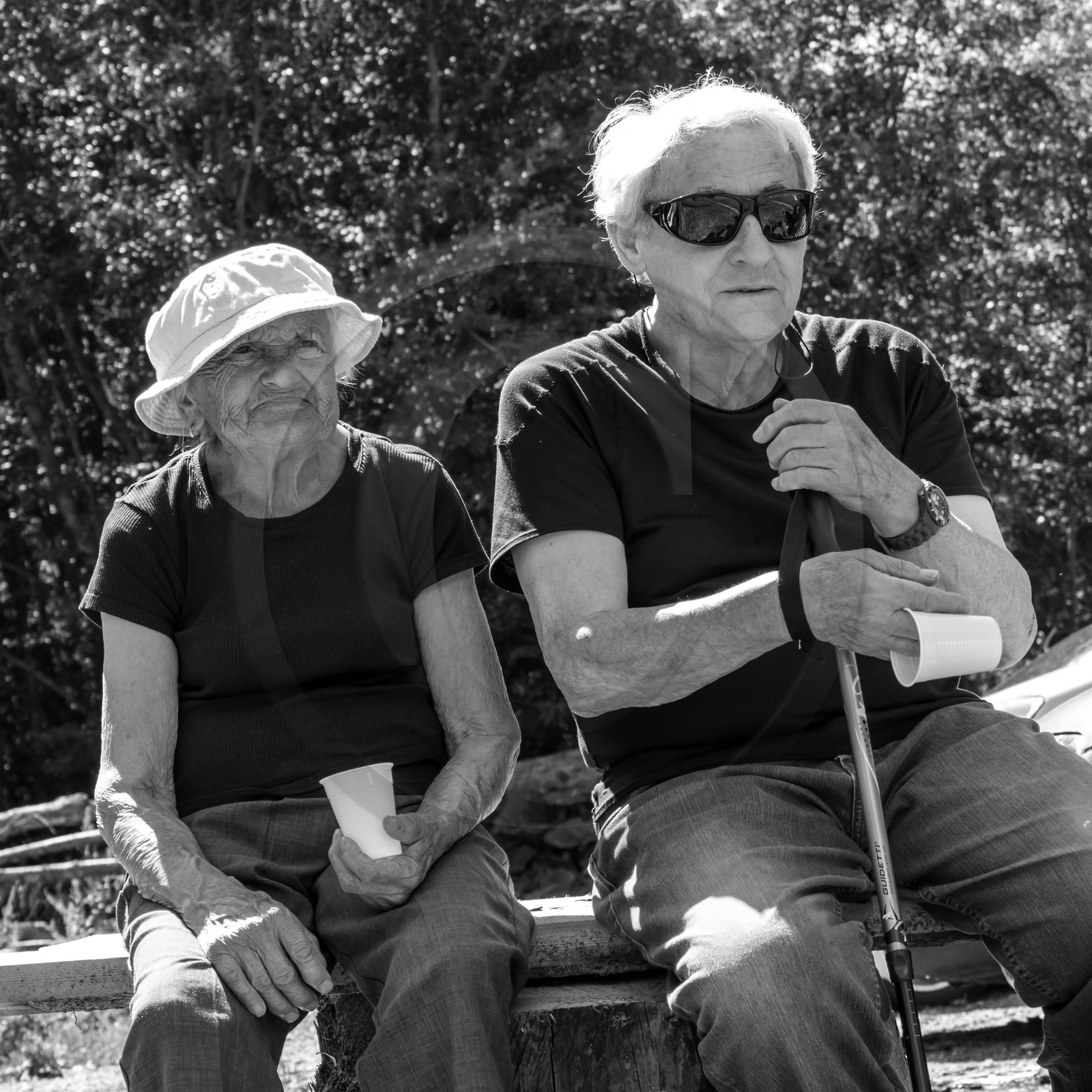 09 août 2017 - Scie mobile