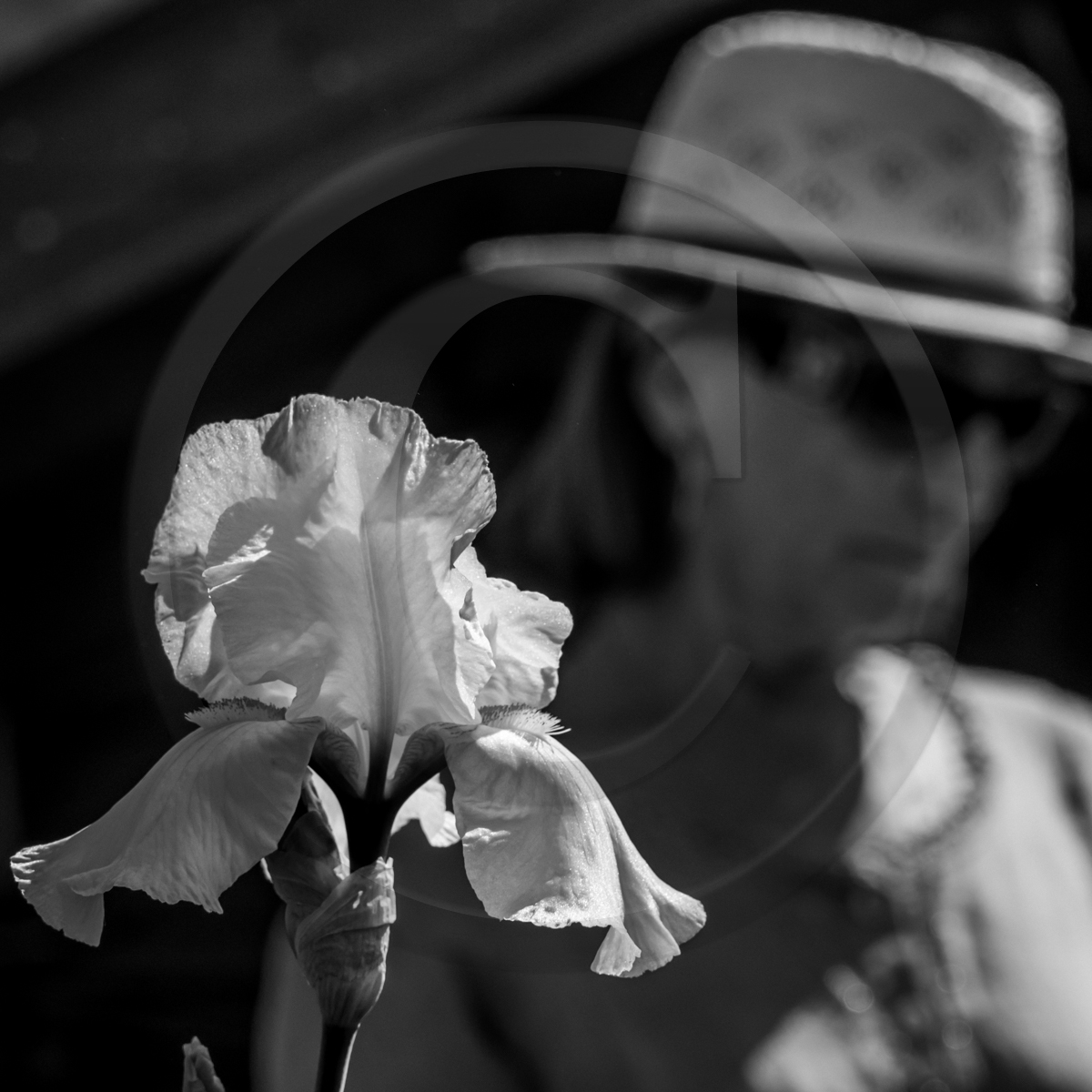 20 mai 2022 : 2ème journée des aidants