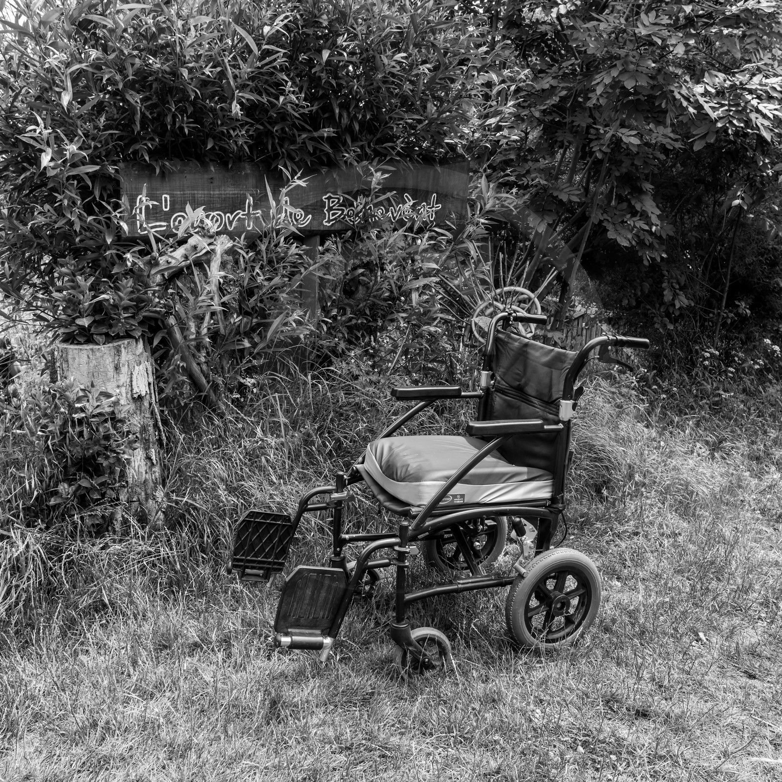 28 juin 2021 : Journée des aidants à l'Ouort.