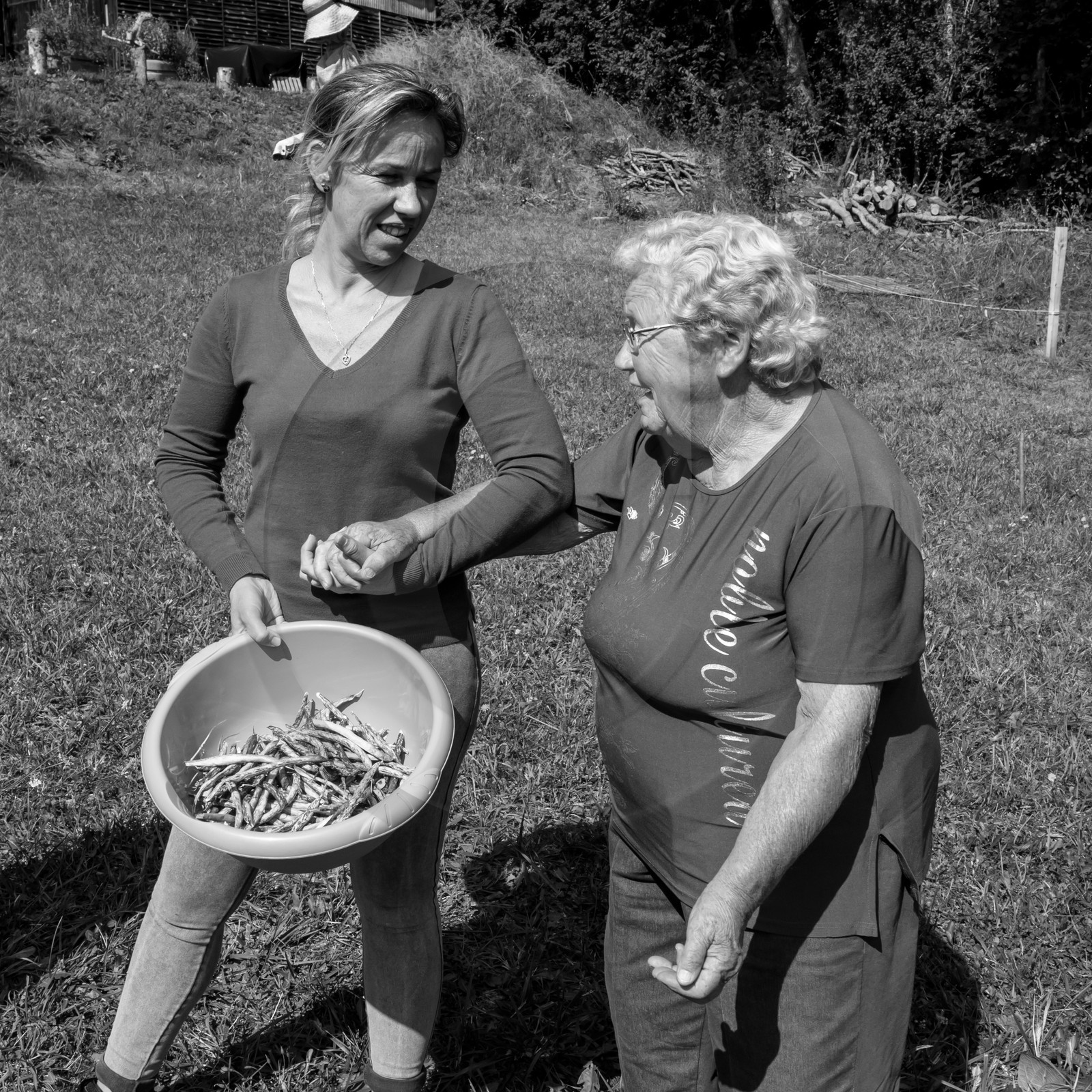 13 septembre 2017 - Chemins - Graines