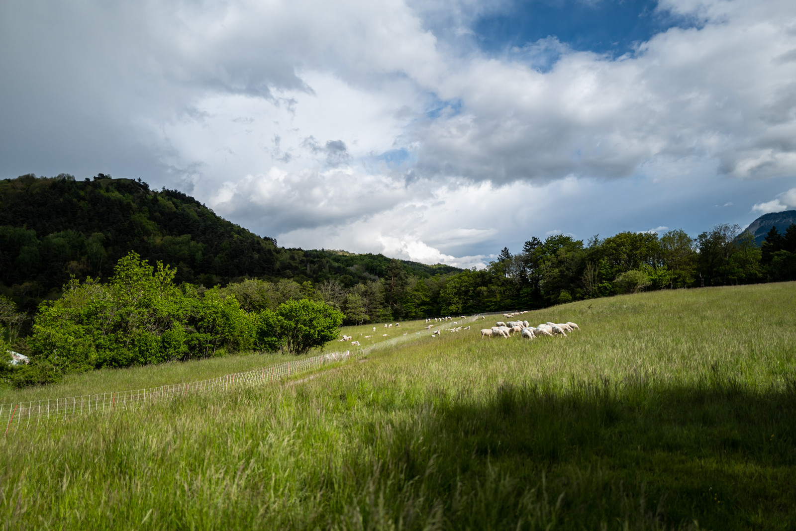 Le Pas du Loup - Le Glaizil -14 mai 2023