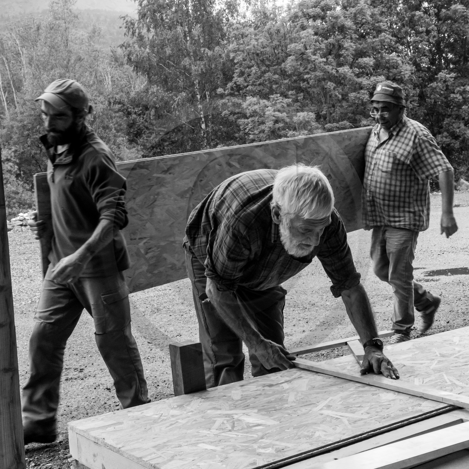 Construction d'une cabane
