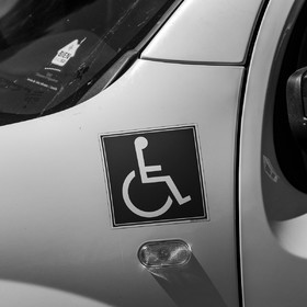 Atelier laine et promenade au jardin