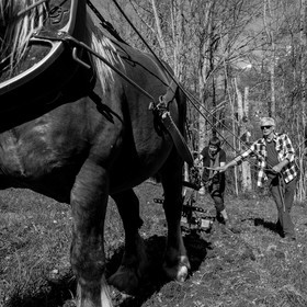 Labour avec un cheval - 17 04 17