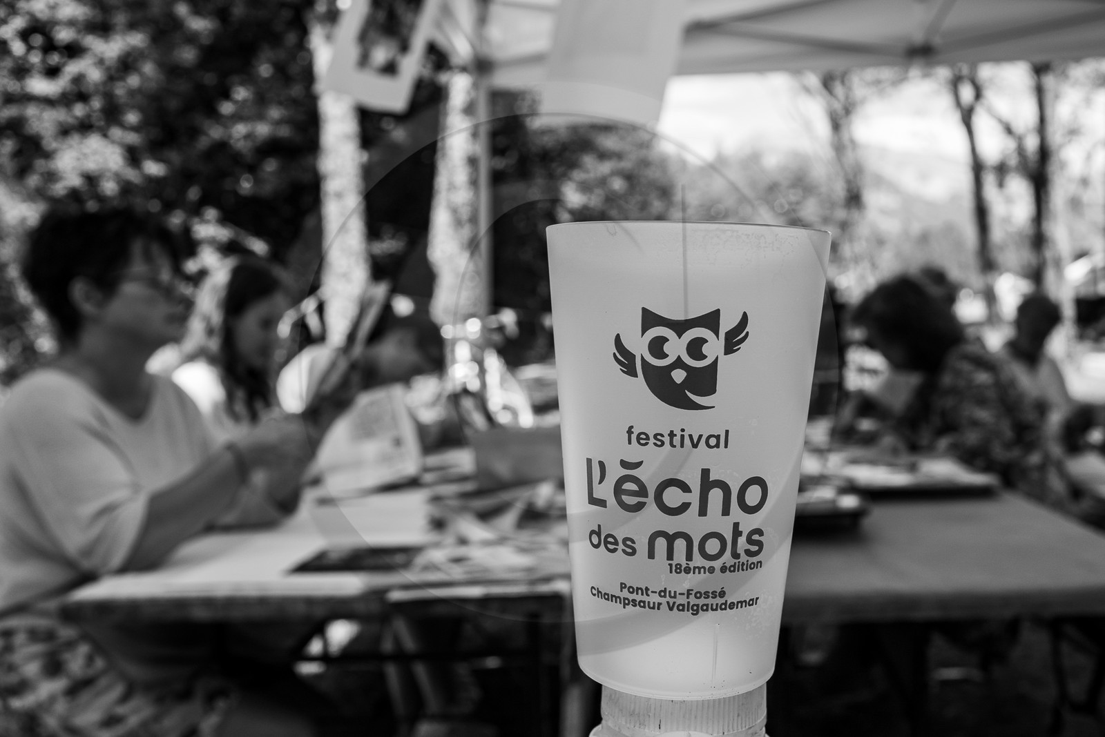 15, 16 et 17 août 2023 : L'Ouort au festival l'Echo des Mots