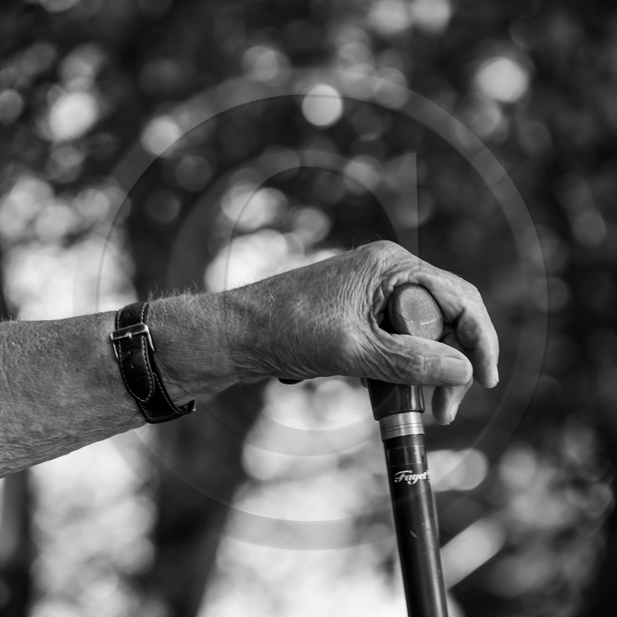 06 juillet 2022 : Sieste Musicale