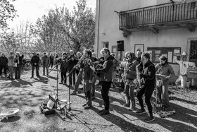 26 octobre 2025 : Les oiseaux de trottoir