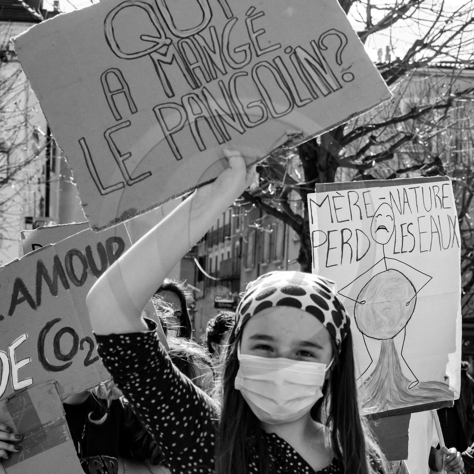 27 mars 2021 : Manifestation des jeunes pour le climat à Gap