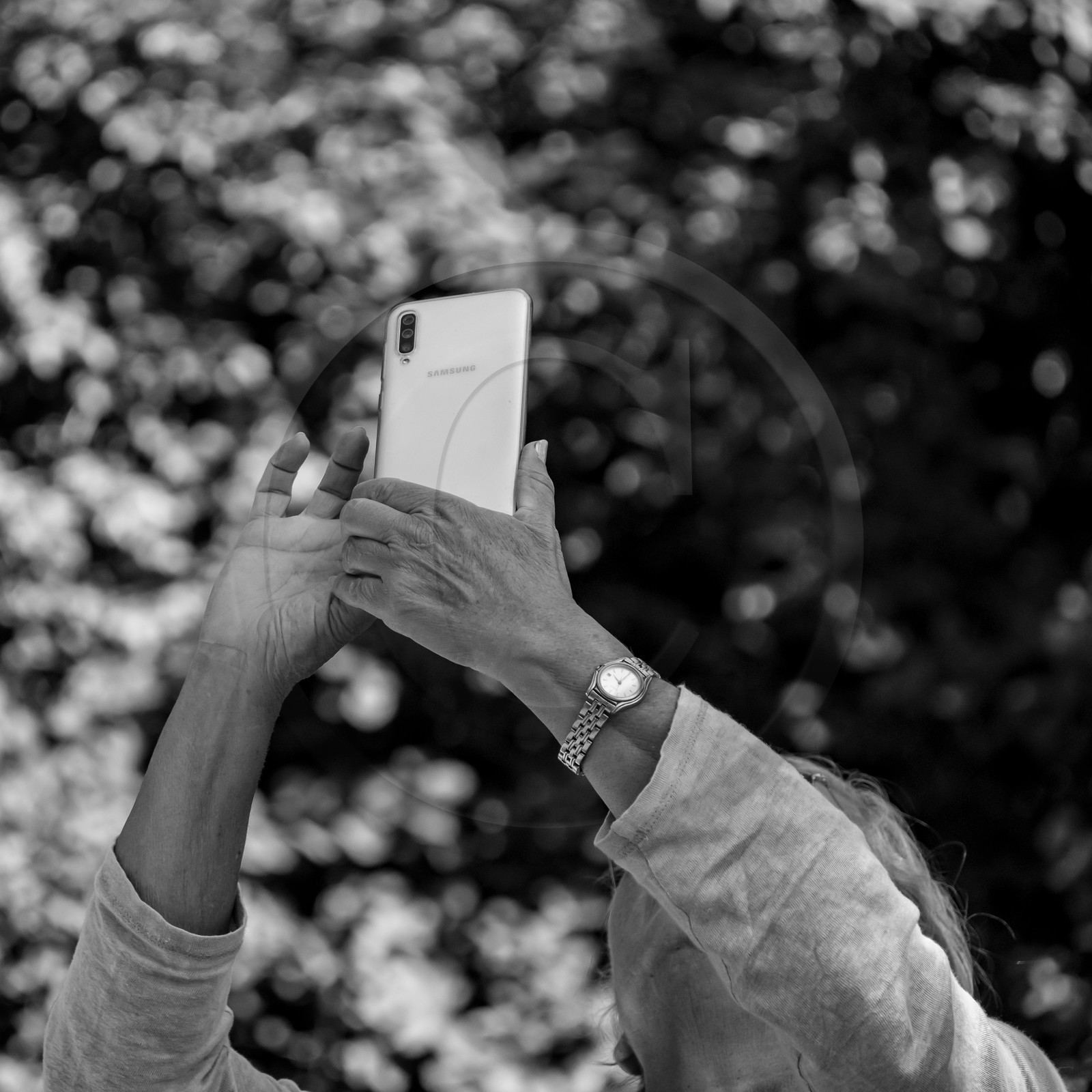 01 septembre 2021 : Promenade en cariole et contes