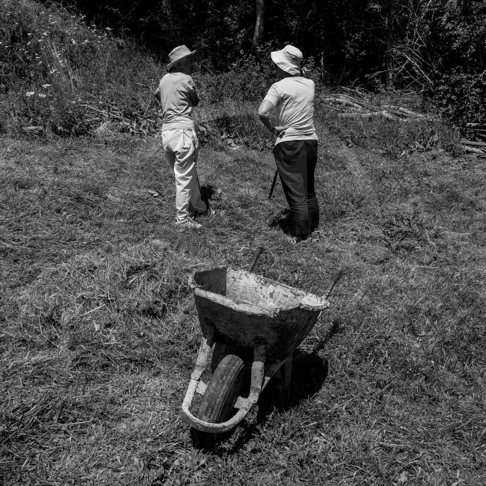 12 juillet 2017 - Moulins à vent