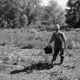 Stéphane Saint-Aubin, maraicher à Pelleautier