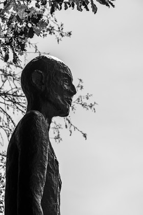 Exposition La forêt d'hommes, une création de Barbara Fougnon, artiste plasticienne