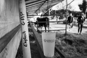 Rencontres paysannes à Saint-Bonnet en Champsaur