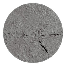 Les instants Camargue