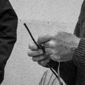 03 avril 2019 : Initiation à la greffe d'arbres fruitiers