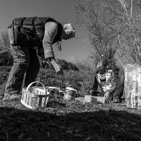10 mars 2021 : on jardine, on fabrique des jeux