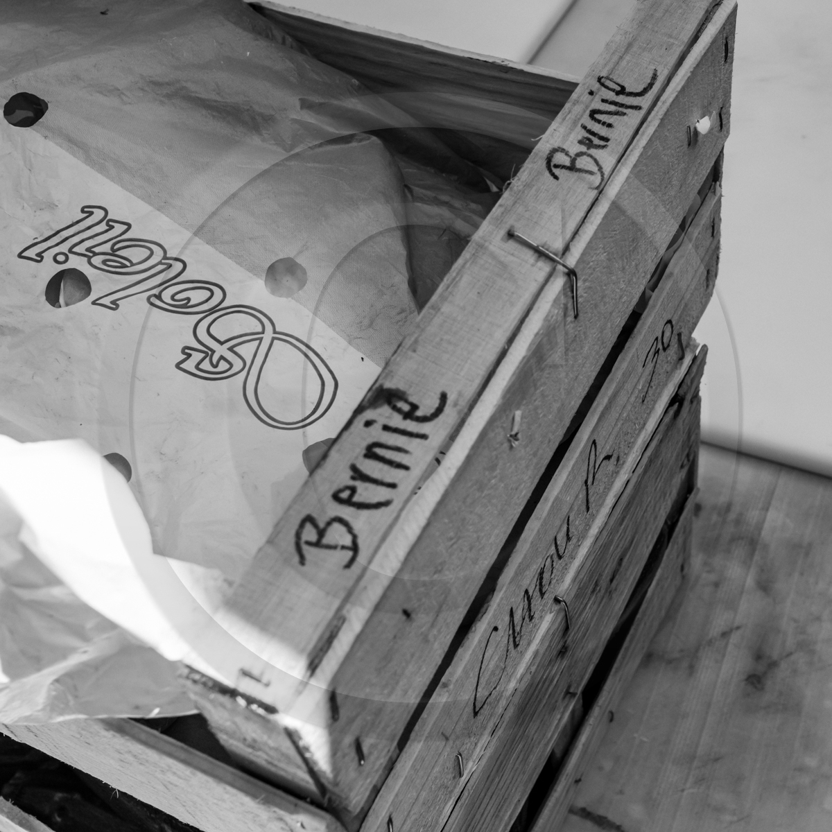 Avec la cantine Chez Bernie