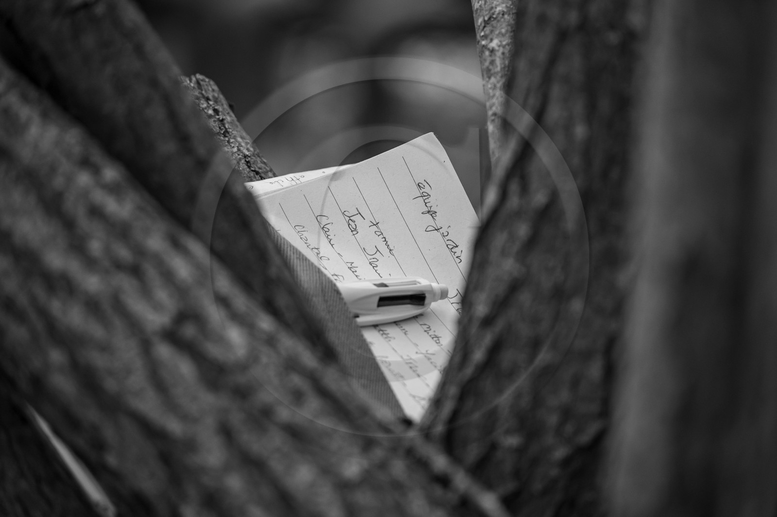 08 mai 2024 : Jeanne Alcaraz, cheffe de choeur, de retour à l'Ouort après la belle aventure 2023 où elle avait animé une chorale participative.