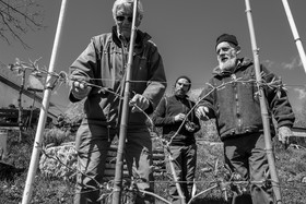 10 avril 2024 : Osier, laine et taille