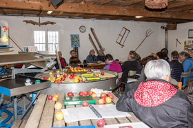 Croqueurs de pommes des Alpes Latines