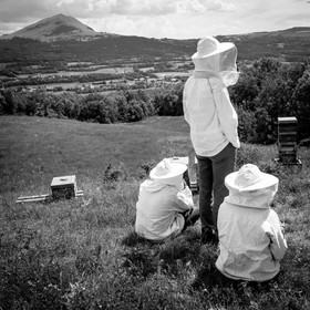 Visite au Rucher des Noisetiers