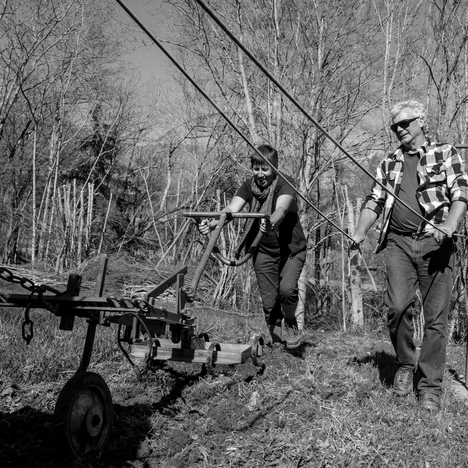 L'Ouort de Bénévent - 17 avril 2017