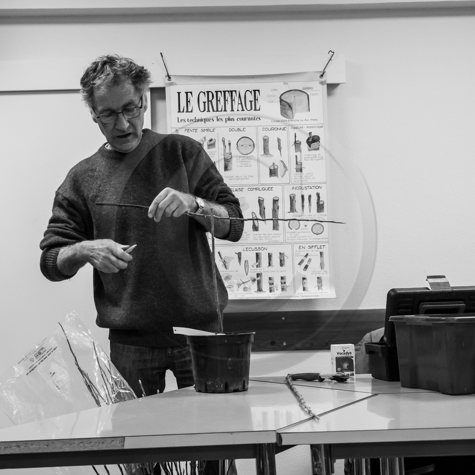 03 avril 2019 : Initiation à la greffe d'arbres fruitiers