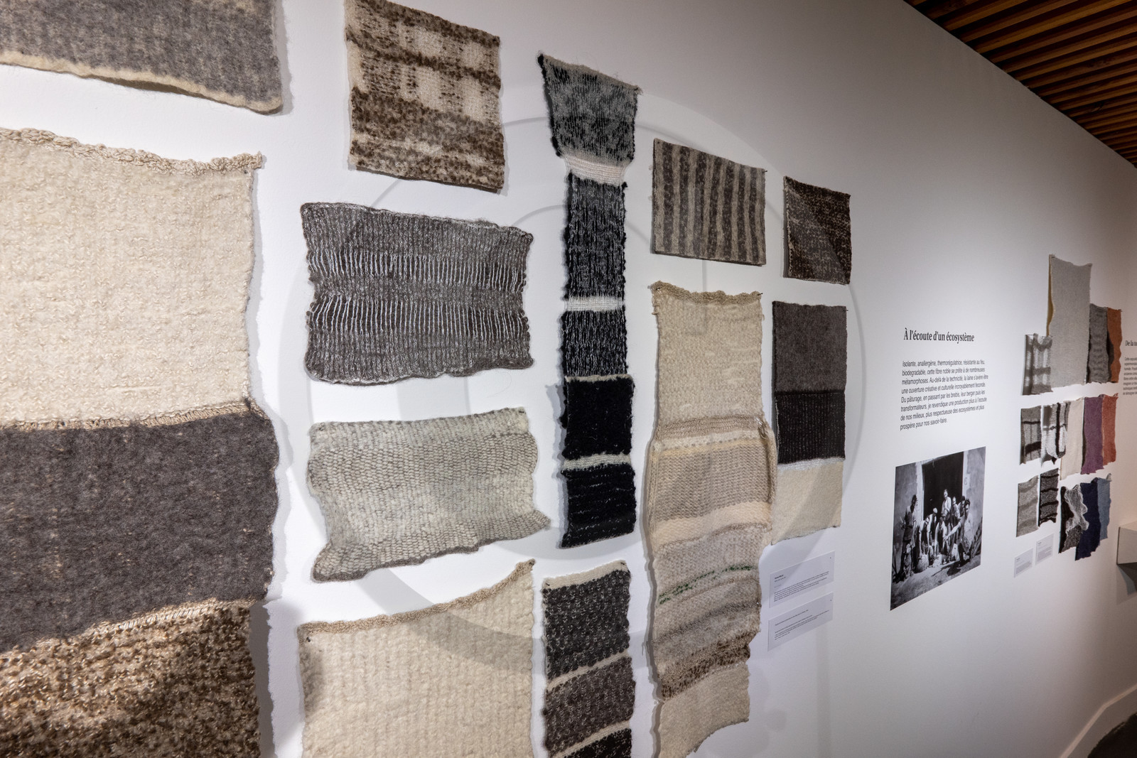 Expositions à la maison du Berger - Champoléon