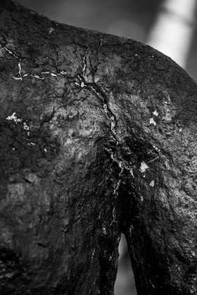 Exposition La forêt d'hommes, une création de Barbara Fougnon, artiste plasticienne