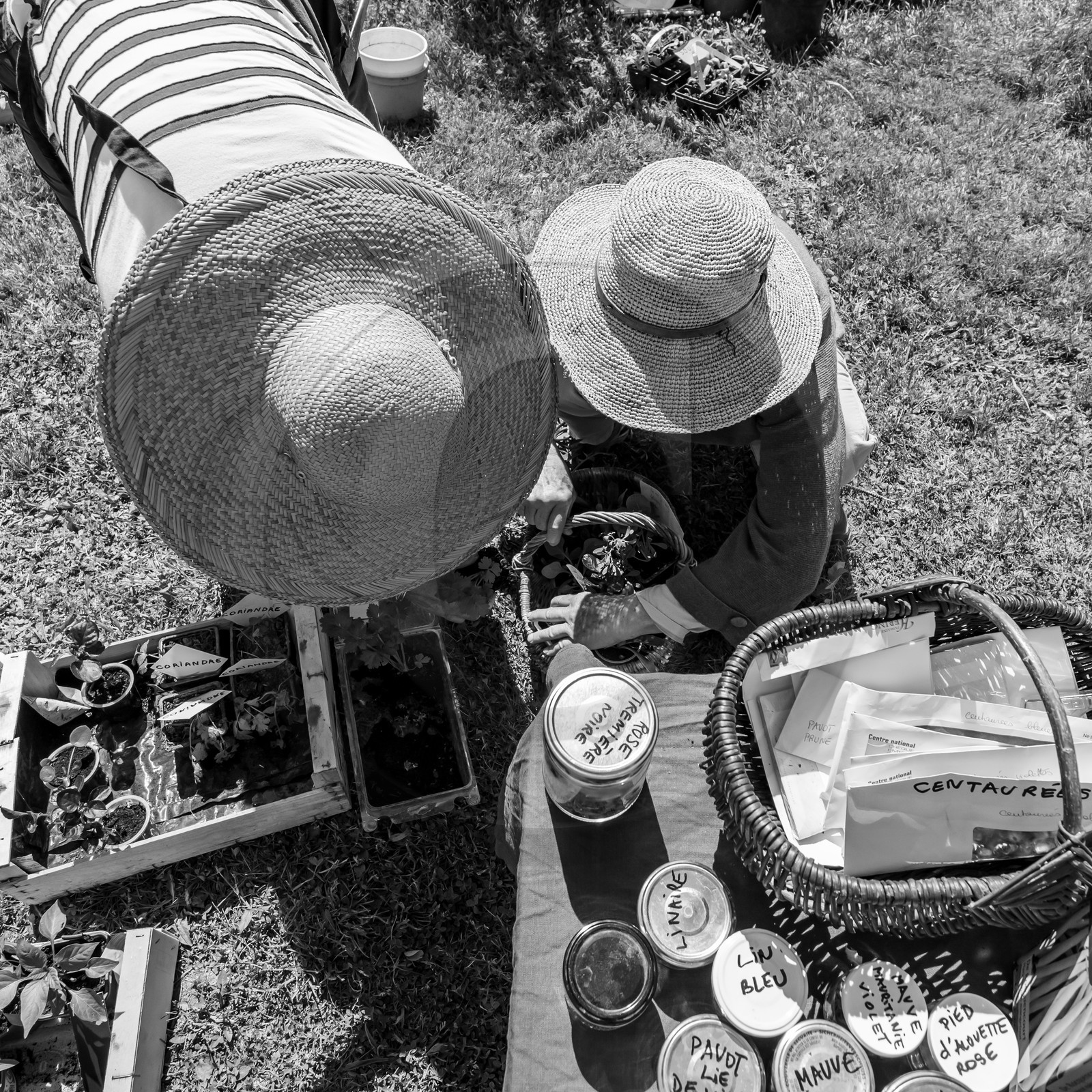 06 juin 2021 : Vide-Jardin et peinture végétale