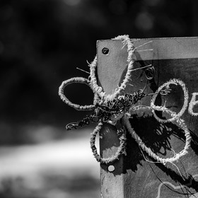 11, 12 et 13 août 2021 : L'Echo des Mots