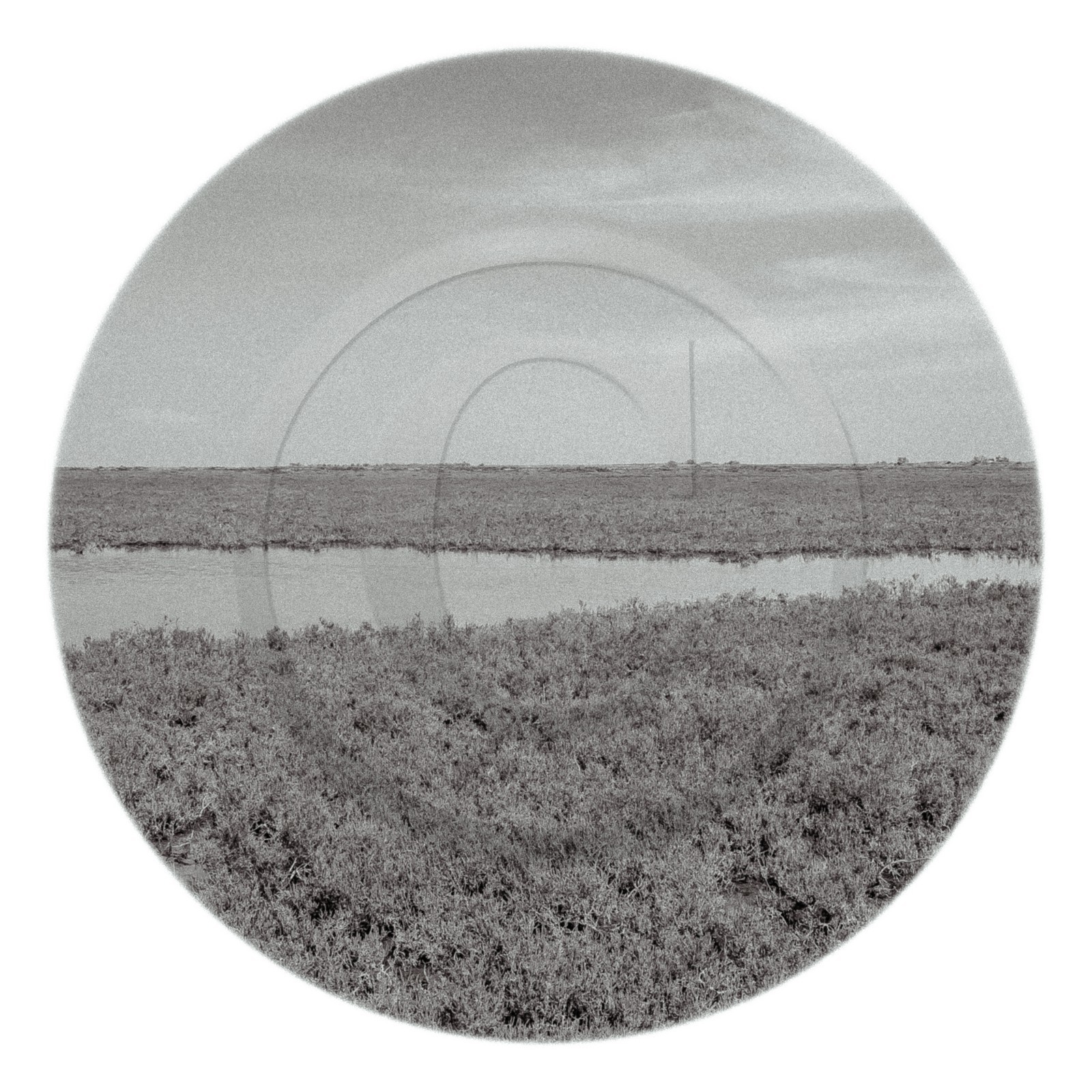 Les instants Camargue