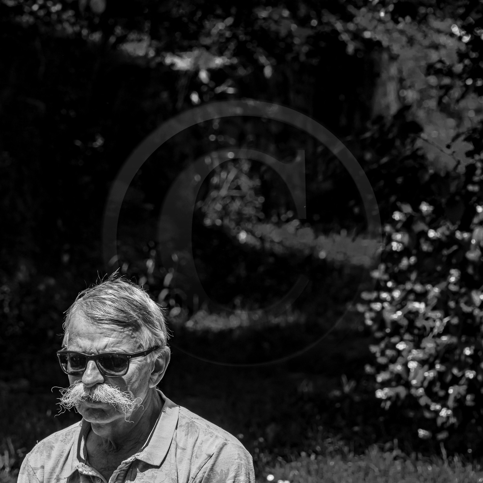 14 juin 2023 : Philippe Séranne et David Aubaile