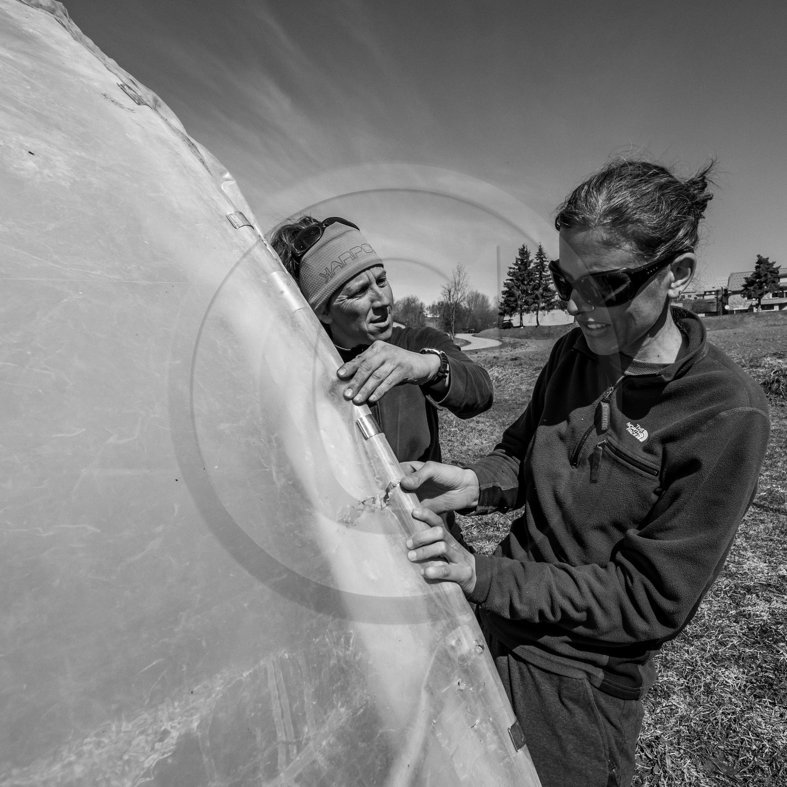 Montage de serres tunnel