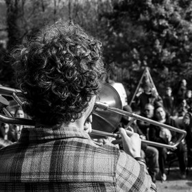 26 octobre 2025 : Les oiseaux de trottoir