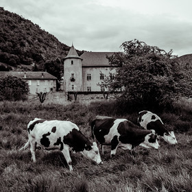 Le Château de Montmaur