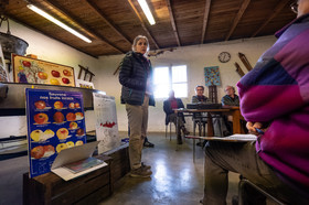Croqueurs de pommes des Alpes Latines