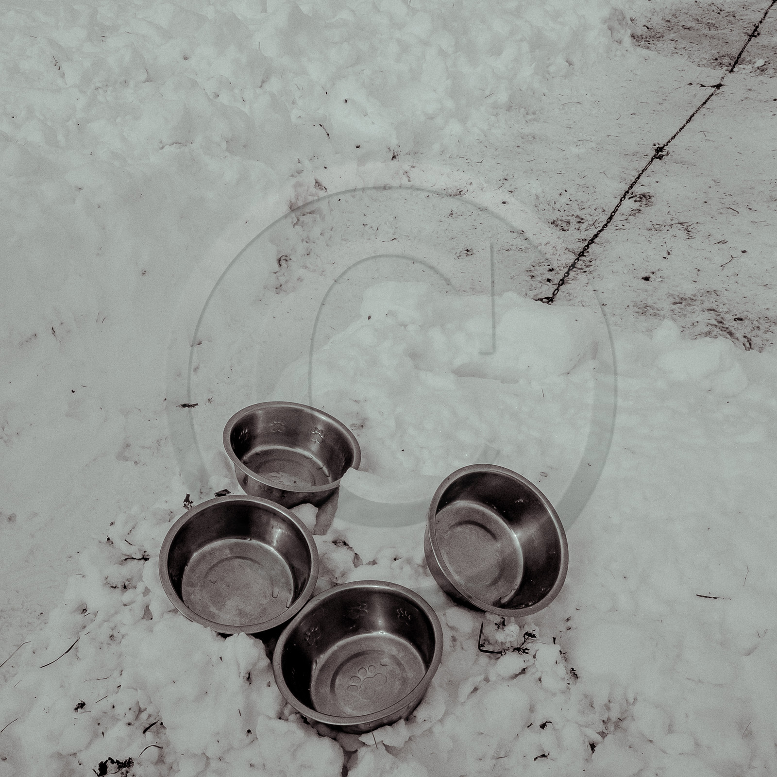 La Valgaude Traineau 2015