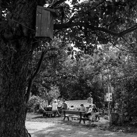 17 juillet 2023 : Journée des aidants et des aidés