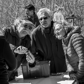 10 avril 2022 : Initiation à la greffe d'arbres fruitiers