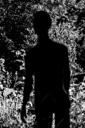 Exposition La forêt d'hommes, une création de Barbara Fougnon, artiste plasticienne