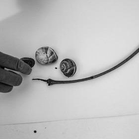 12 octobre 2022 : Land Art à l'Ouort