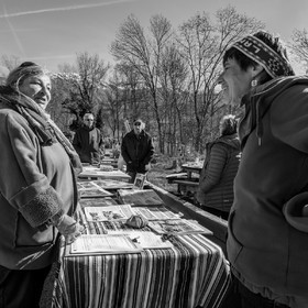 10 avril 2022 : Initiation à la greffe d'arbres fruitiers