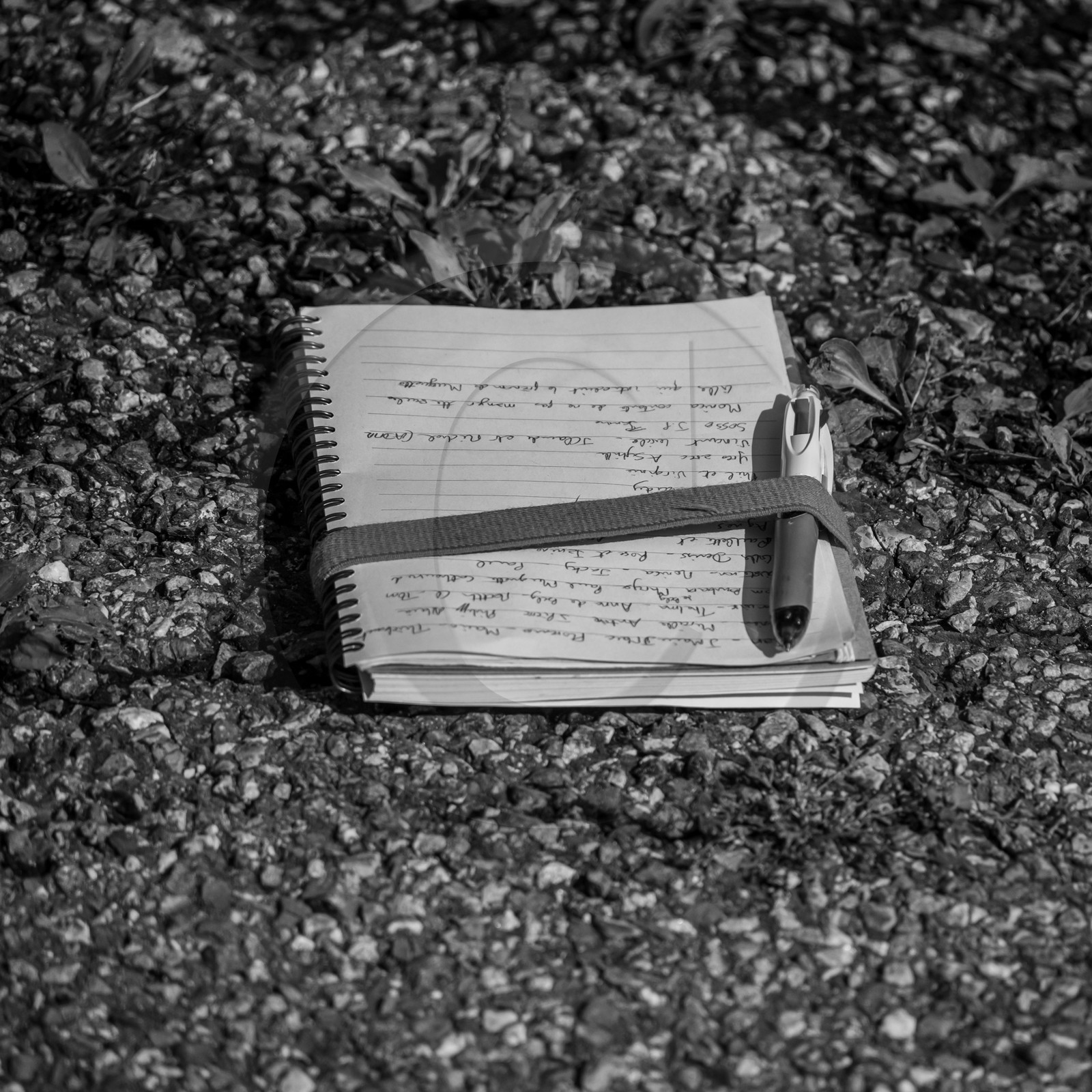 02 octobre 2024 : des contes avec Gilles Bougère et quelques autres conteurs