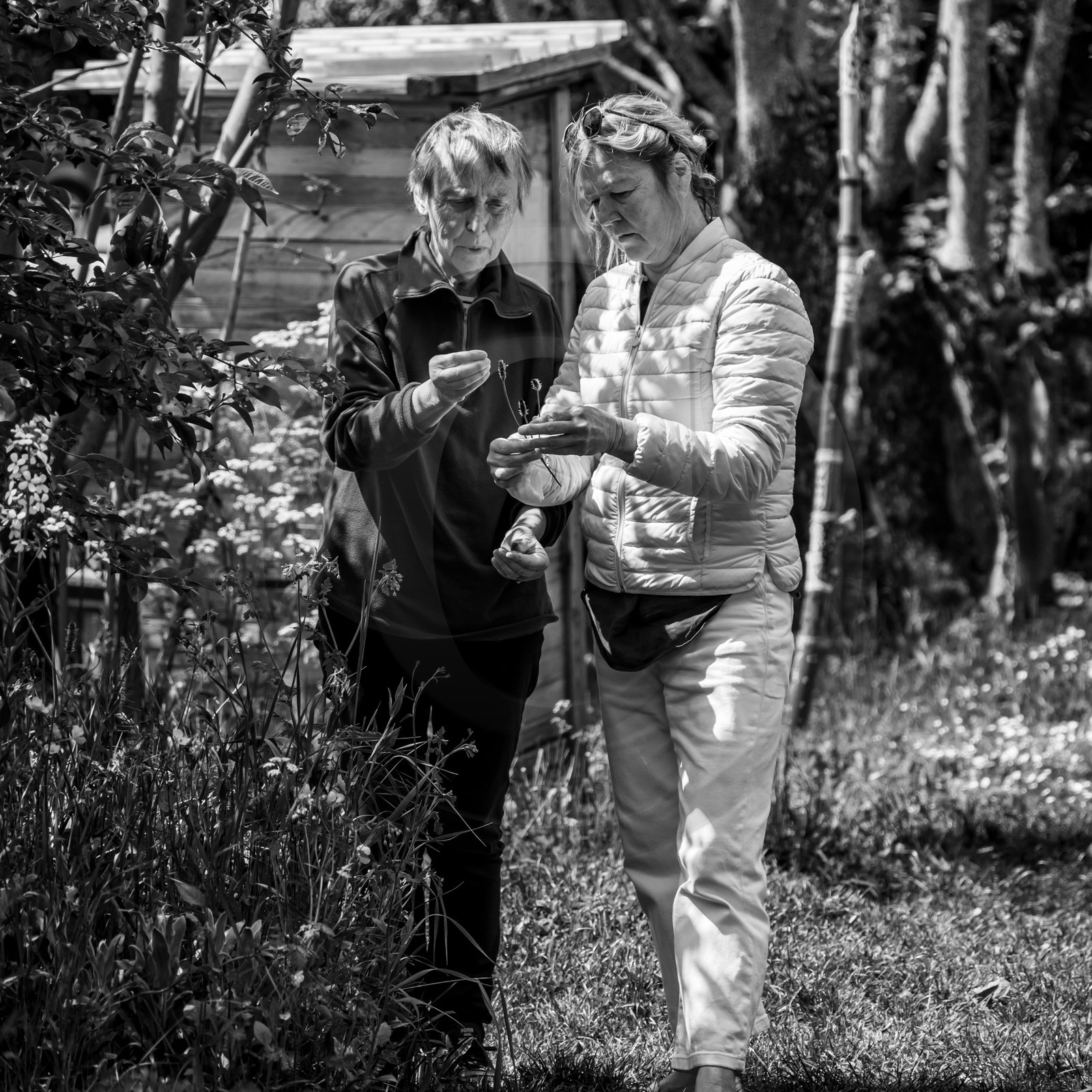 24 mai 2024 : Journée des aidants à l'Ouort