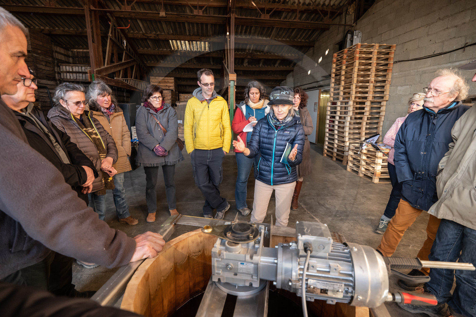 Croqueurs de pommes des Alpes Latines
