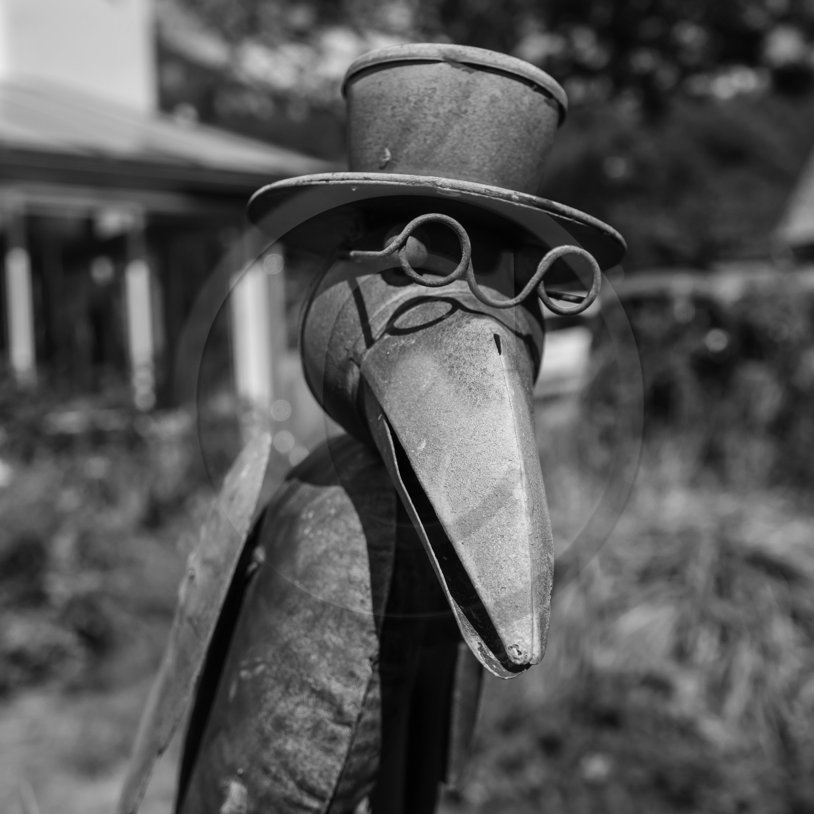 04 septembre 2019 : Visite au jardin des Hautes Terres