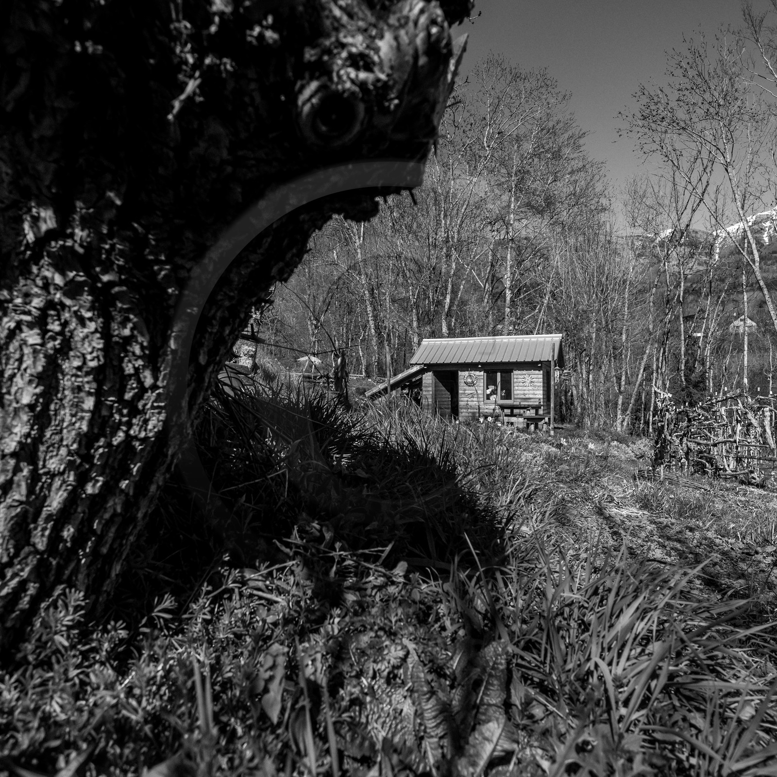 Ouort de Benevènt - 07 avril 2021