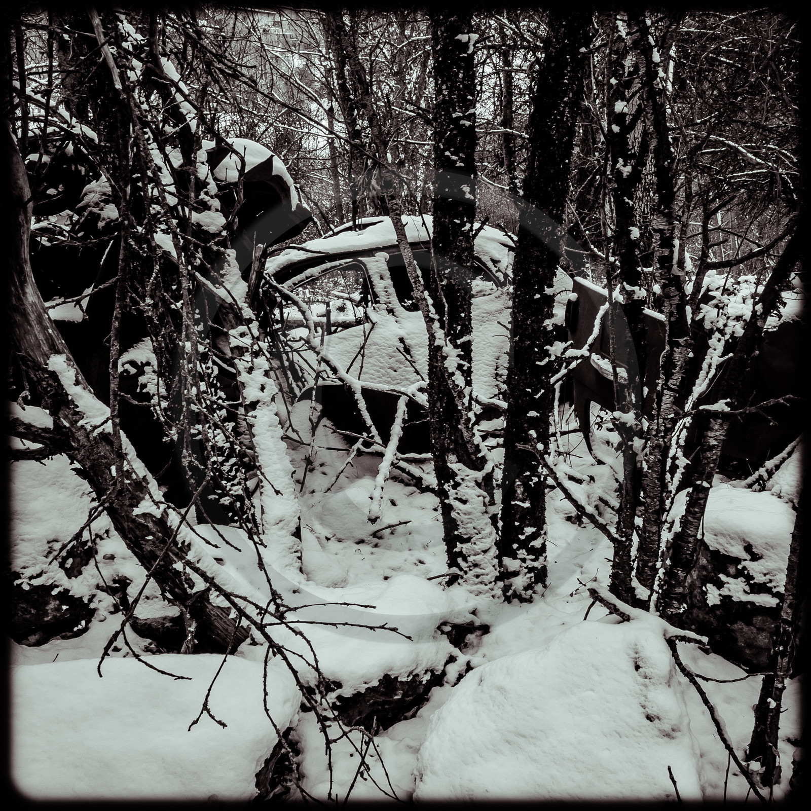 Un cimetière de voitures
